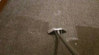 WATCH how cold water extraction cleans this carpet