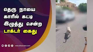 தெரு நாயை காரில் கட்டி இழுத்து சென்ற டாக்டர், மிருக வதை தடுப்பு சட்டத்தில் கைது