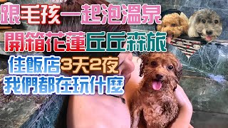 [帕露 咪露]開箱丘丘森旅 入住3天2夜,我們都在玩什麼? 好吃 好住 好玩 好貴 遇到最可怕的是....