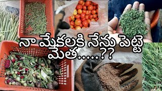 Na mekalaki Nenu pette metha | goat food | my farm's