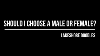 Should I Choose a Male or Female?