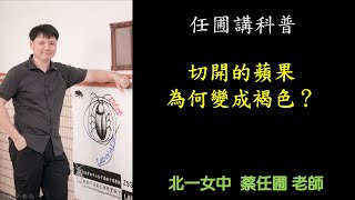 【任圃講科普】131切開的蘋果為何變成褐色？