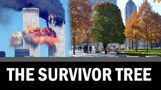 The Survivor Tree I Symbol of Resilience and Rebirth I Remembering 9'11 attack