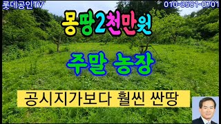 NO.601-1번. 급매 공시지가보다 훨씬 싼 땅,몽땅2천만원. 전1,025㎡(310) 직불금받는땅,농지원부