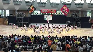 粕屋東中中学連 輝龍天翔 第19回 YOSAKOIかすや祭り