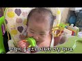 vlog 생후 173~179일 아기일상 생애 첫 청포도와 떡뻥 5개월 아기 칭찬하기 백화점나들이 낯선 것은 싫은 아기 아빠없는 날 열육아🔥