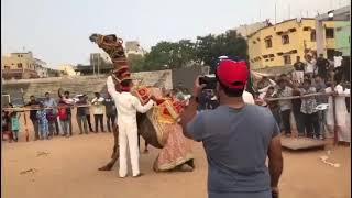 Dancing camel of Hyderabad.