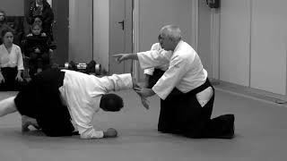 Aikido Dojo Kashin - Embukai R. Martucci sensei 2018