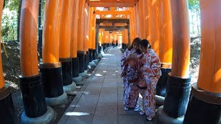 Fushimi Inari Taisha | Kyoto | Japan | 伏見稲荷大社 | 4K