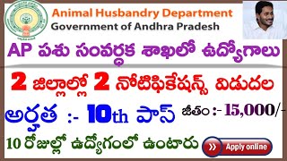 AP 2 జిల్లాల్లో పశుసంవర్ధక శాఖలో ఉద్యోగాలు|10thఅర్హతతో |పరిక్ష లేదు|Animal Husbandary jobs| AndhraTV