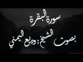 سورة البقرة بصوت الشيخ وديع اليمني مكررة تلاوة خاشعة وجميلة