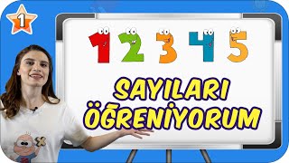 Sayıları Öğreniyorum / Birlikte Sayalım 👩🏻‍🏫 1.Sınıf Matematik