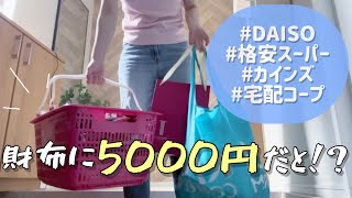 【週一まとめ買い】今日もまとめ買い🛒💕格安スーパー｜DAISO｜カインズ｜宅配コープ｜節約節約節約！？💸