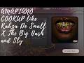AMAPIANO COOKUP | Like Kabza De Small |For: The Big Hash and Sly| LOVE IS A STAR | AMAPIANO TUTORIAL