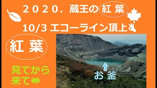 2020 蔵王・紅葉（１０/３ エコーライン山頂　色付き始めたよ！）