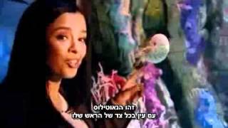 אבולוציה של העין - האם זה אפשרי?