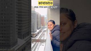 কানাডার ভয়ঙ্কর তুষারপাতে বানালাম White sauce spaghetti | Extreme snow \u0026 cold in Canada #banglavlog