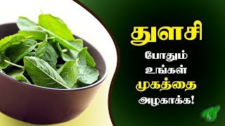 துளசி இலைகள் போதும் உங்கள் அழகை அதிகரிக்க  Tulasi face pack