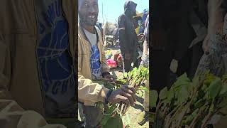 Welcome to Mercato Addis Ababa Ethiopia. World's largest outdoor market.