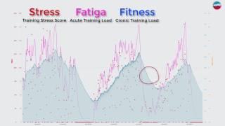 Performance Management Chart / PMC