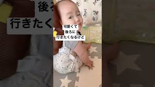 ごっつん防止リュックデビュー🐝❤️#赤ちゃんのいる生活 #あかちゃんのいる生活 #baby #赤ちゃん #生後6ヶ月 #かわいい #ごっつん防止リュック