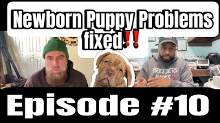 Diagnosing Newborn Puppy Problems! with @doublemusclelinebulls & @chrisandgina