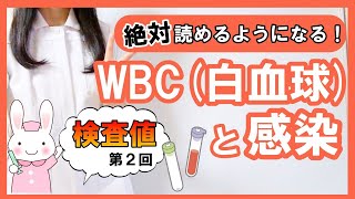 【検査値】採血の検査結果「白血球」の読み方と感染 #2