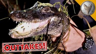 Brave Wilderness | EPIC Gator Catch!