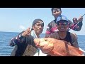 ikan  merah jumbo kami  taklukkan di spot ini