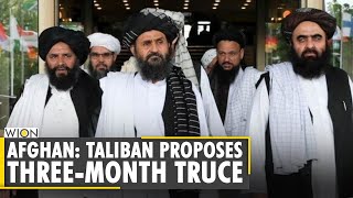 Afghan: Taliban offer three-month ceasefire in return for release of 7,000 insurgents | English News