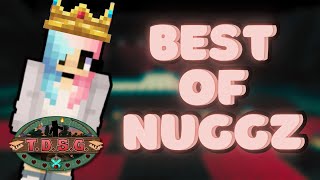 Best of Nuggz 🐝 Winner of Totally Dramatic Survival Games