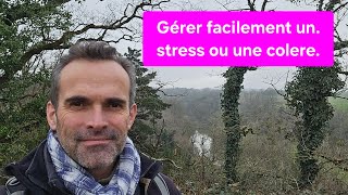 Tipi ou nerti ; gérer ses emotions: se déprogrammer des stress et colères.