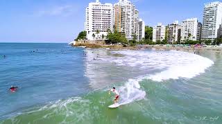 surf classico no Guarujá