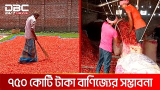 উত্তরের ‘লাল সোনা’ খ্যাত পঞ্চগড়ের মরিচ | DBC News Special