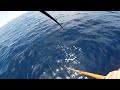 offshore tuna fishing trip aboard the t bird my first yellowfin tuna