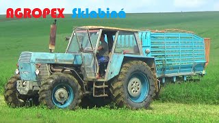 AGROPEX Sklabiná - Kosenie ďateliny pre kravy 2019 // Mowing clover for cows 2019 ( Zetor 120 45