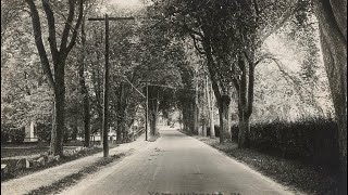 330 Years of Unknown History: The Oldest Road in the US Surfaces