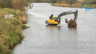 Verbesserung der Gewässerstruktur durch Raubäume