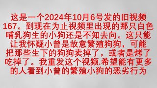 3. 旧视频：记录平凡生活小曾2024/08/26水槽边的白色哺乳狗生的小狗哪去了？从MyDogoArgentinosHappyLife搬来的