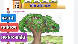 class 4 evs ch.12 with question answer कक्षा 4 पर्यावरण पाठ 12 चोंच और पंजे RBSE BOOK