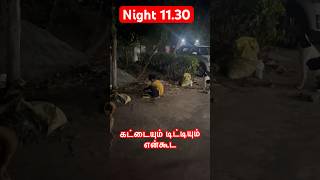 கட்டையும் டிட்டியும் என்கூட இருக்கர்தால பயம் இல்லாமல் விளையாடுறன்😃😃 @tamilachi90