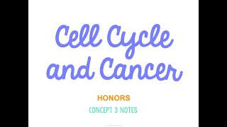 Unit 2 Cells HONORS Concept 3 Notes *UPDATED*