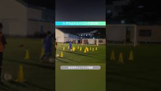 【トラウムトレーニング旭川校】ある日のトレーニング風景 #shorts