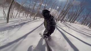 Hakuba Japan - Tsugaike Kogen 2017 - Side Country