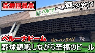 【野球観戦】初めてのベルーナドーム🍺チーム応援団に感動