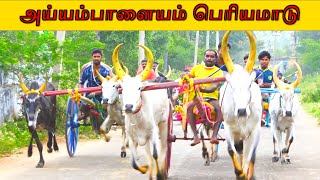 பெரியமாடு-பந்தயம்-12.01.2025-அய்யம்பாளையம்-| எக்ஸ்பிரஸ் கேலக்ஸி எச்டி | ரெக்லரேஸ்2025