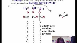 Triacylglycerols