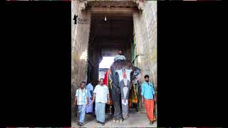 மன்னார்குடி ஸ்ரீ ராஜகோபால சுவாமி கோவில் வரலாறு