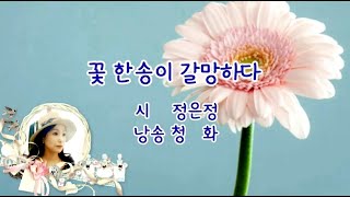 [시낭송] 꽃 한송이 갈망하다 / 시 정은정 / 낭송 청화 / (사)종합문예유성 낭송시 선정/영상편집 청화