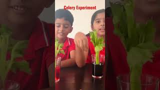Celery Experiment- Easy Science Experiment #kidseasylearning #scienceexperiment